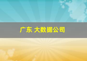 广东 大数据公司